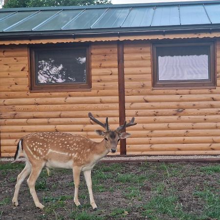 Domek Letniskowy Na Lowisku Mulawki Kętrzyn Exteriér fotografie