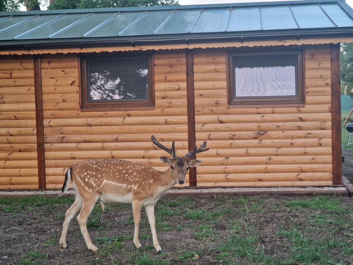 Domek Letniskowy Na Lowisku Mulawki Kętrzyn Exteriér fotografie