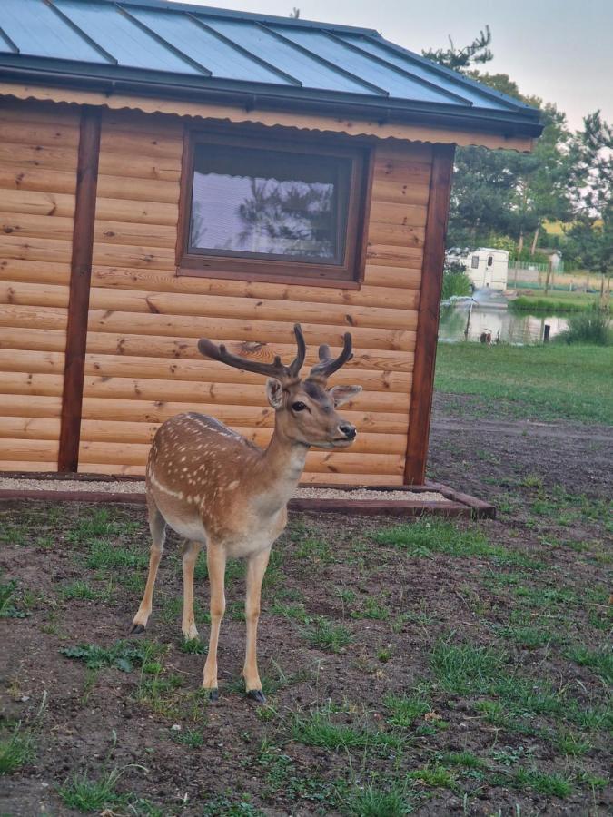 Domek Letniskowy Na Lowisku Mulawki Kętrzyn Exteriér fotografie