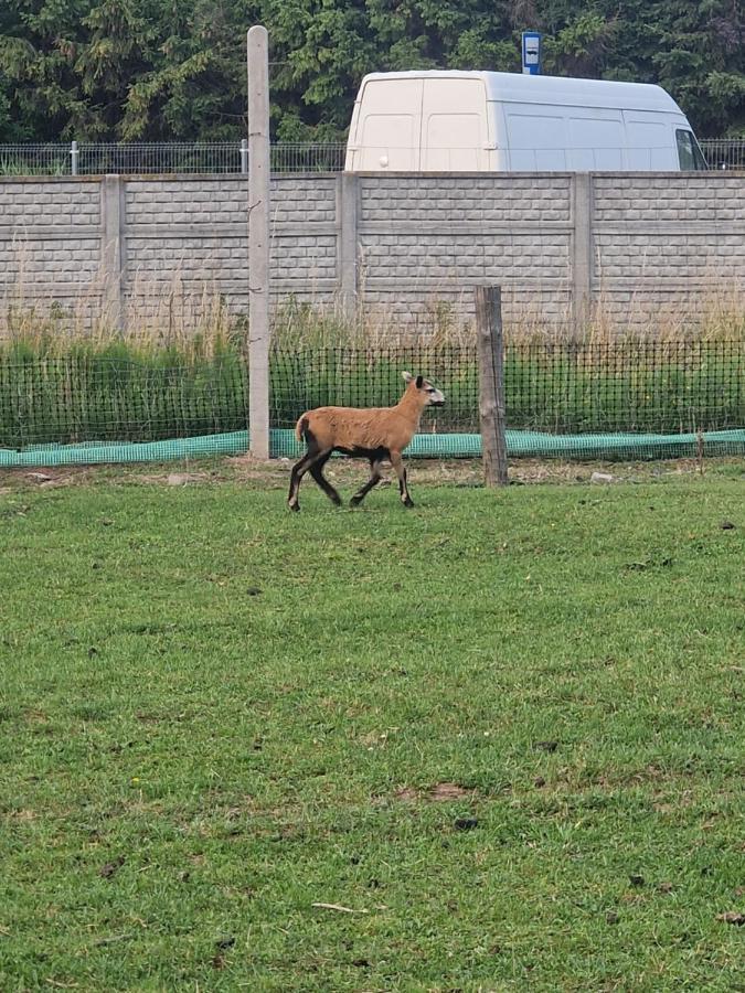 Domek Letniskowy Na Lowisku Mulawki Kętrzyn Exteriér fotografie